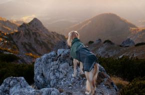 Bild för kategori Hundtäcken